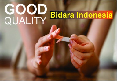 Bidara Indonesia
